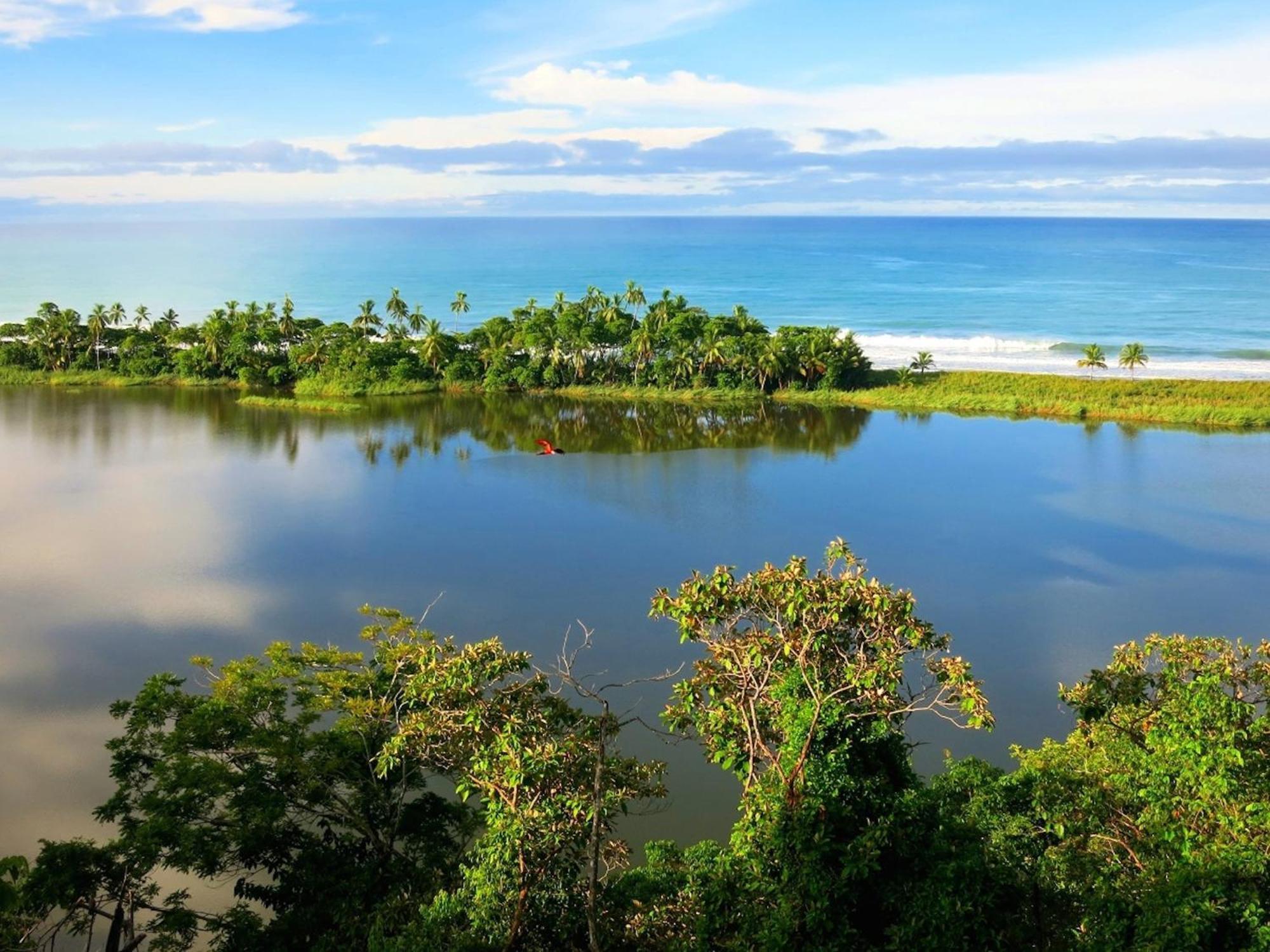 Lagunavista Villas Carate ภายนอก รูปภาพ