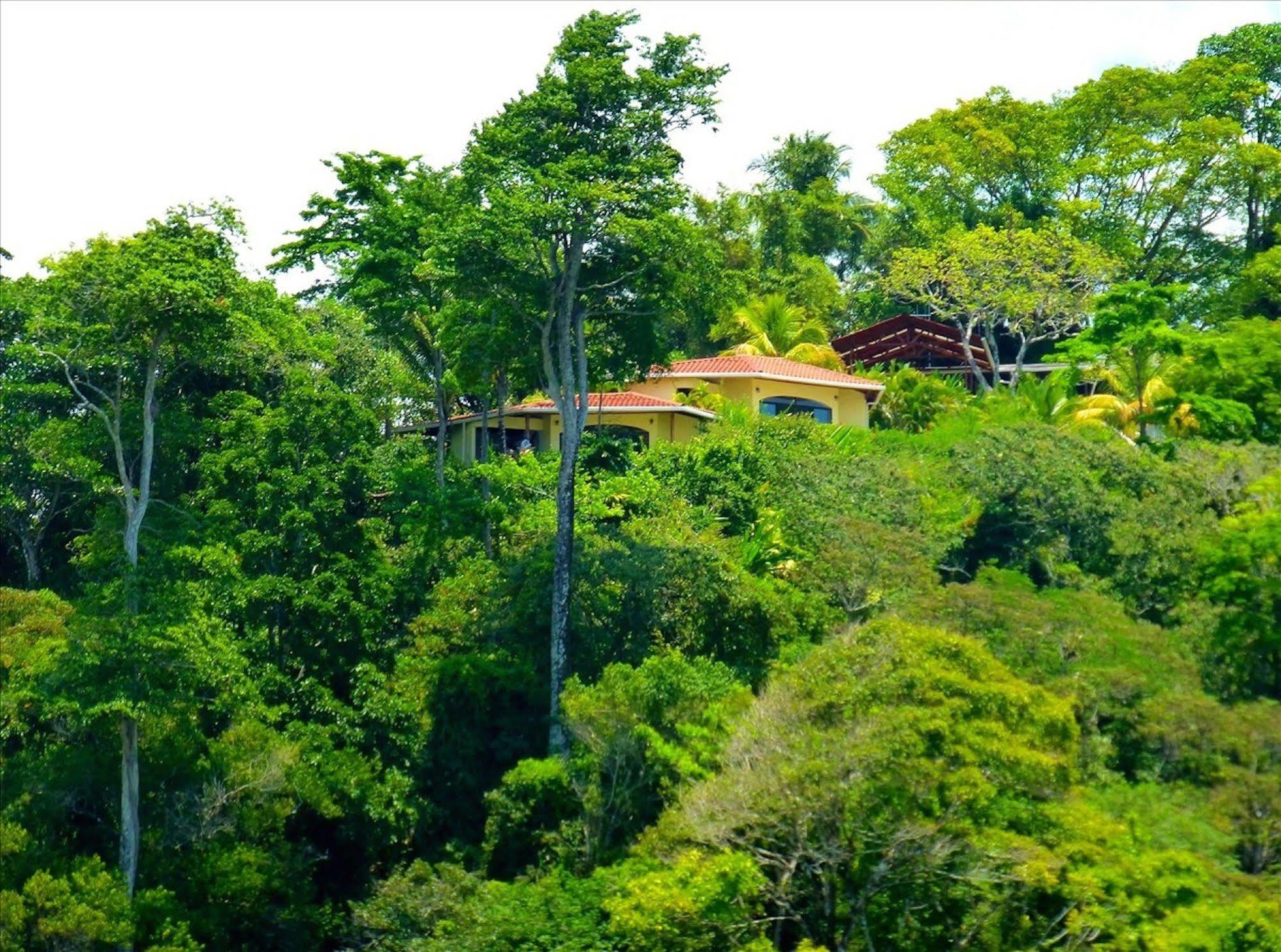 Lagunavista Villas Carate ภายนอก รูปภาพ